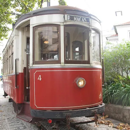 Apartament Tram